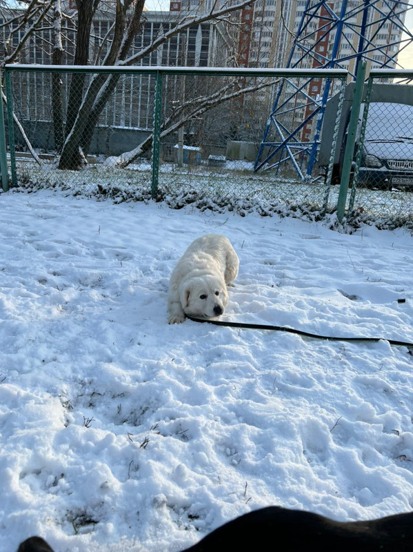 4A2EEB18-87D4-4658-87D4-B364D00C205D