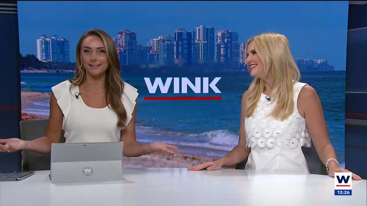 04.17 - 17.00.01 - The WINK Noon News  ᴺᵉʷ. Midday news update..ts_snapshot_32.30.077