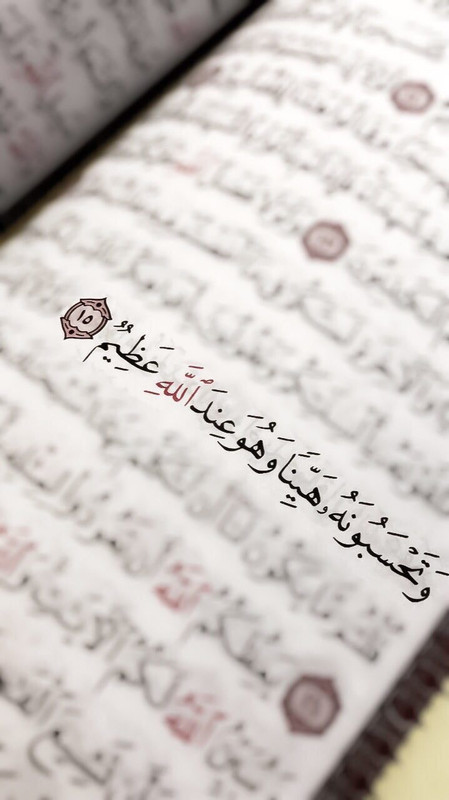 98ACC8C2-F766-4A8C-805E-83E67B0FD41F