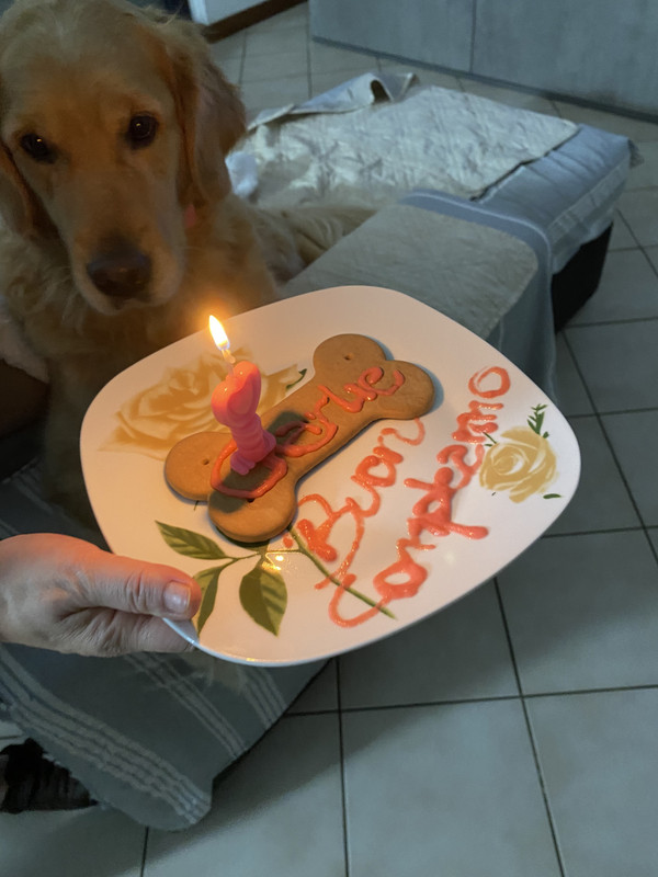 66D38933-6393-409A-9D8E-327653E660BE