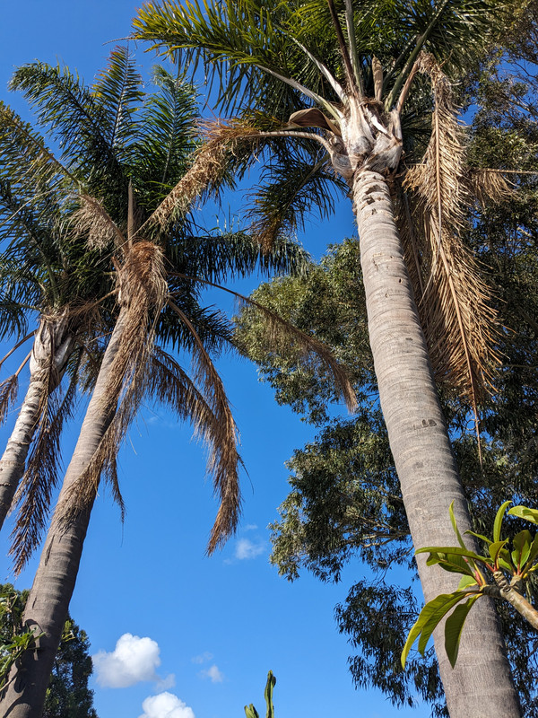 PXL_20240603_040002795