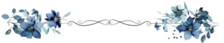 https://i.postimg.cc/kXBkYZj3/Capture-d-cran-2025-06-24-200714-Photoroom-2.png