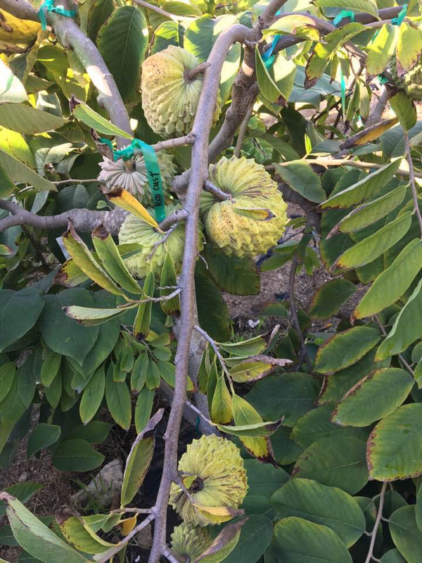 46736170_10156796850740419_2731736158173134848_n