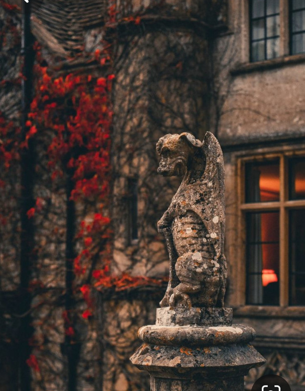 Screenshot_20231128_003639_Pinterest