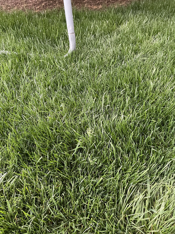 9F5F4848-27E7-49E2-A854-943260E7AE05