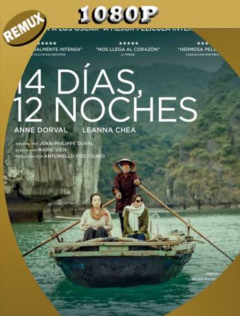 14 Dias 12 Noches (2019) REMUX 1080p Latino [GoogleDrive]