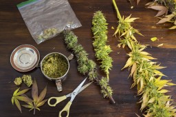 Борьба с незаконным оборотом наркотических средств. Итоги выходных