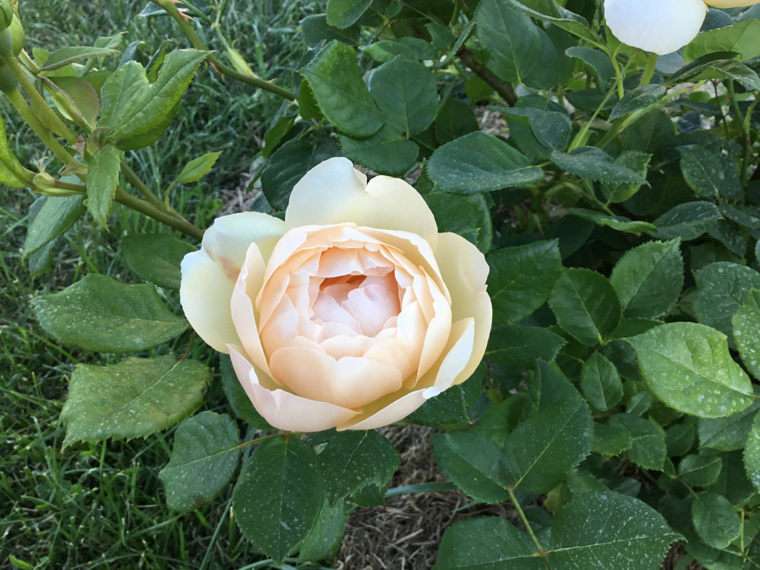 07376861-CE5F-4B6E-A9D1-AF643BEF4B6B