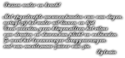 oie-2165852Os-WV81JX