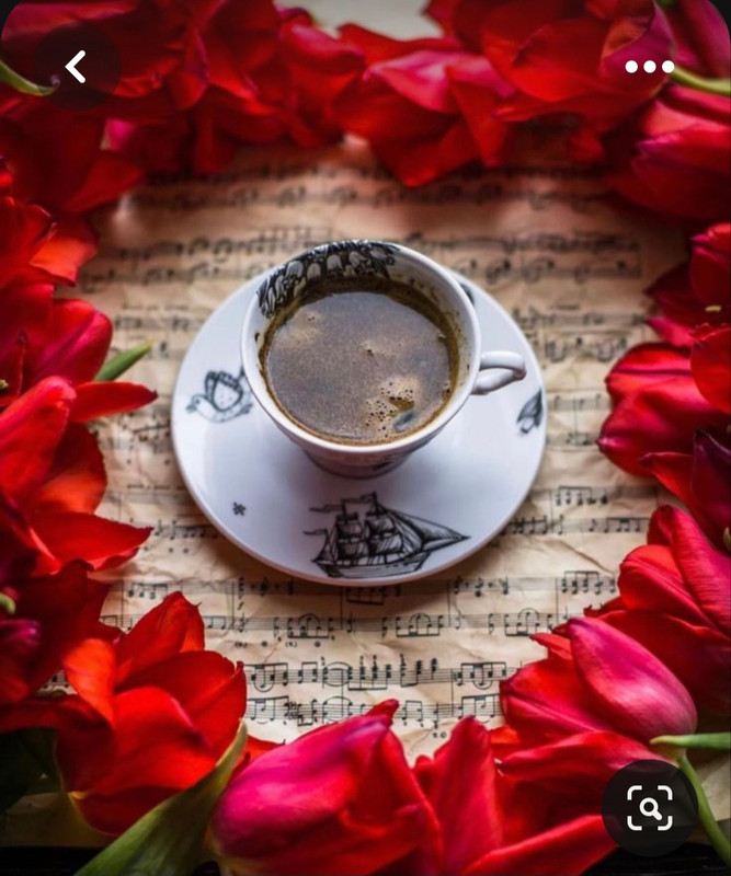 Screenshot_20230717_221706_Pinterest