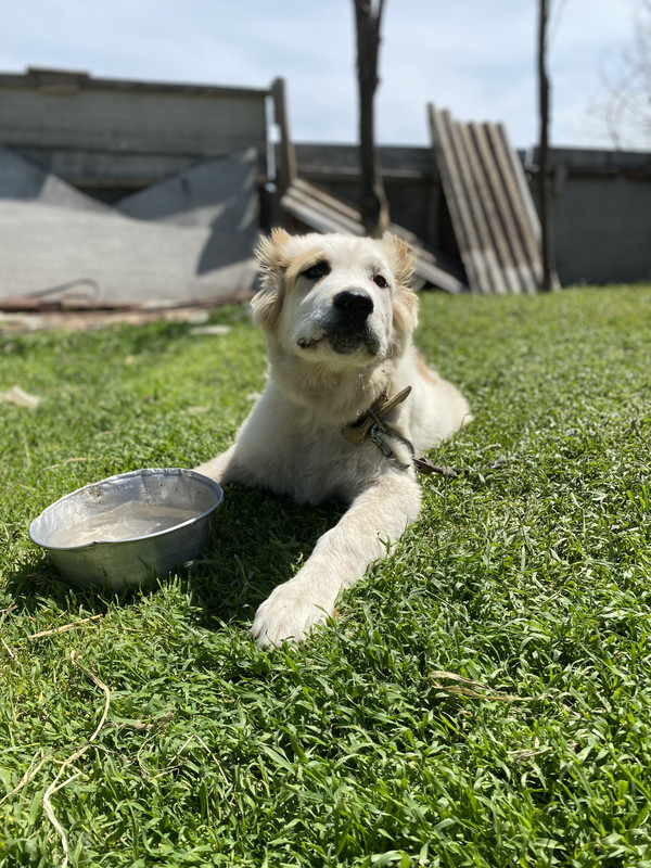 ABCF181C-AD18-4854-8E8D-0EF7304C0B9B