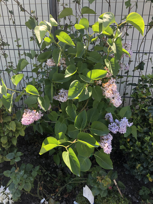 0747EC81-8299-4855-99CF-0AE1E6293656