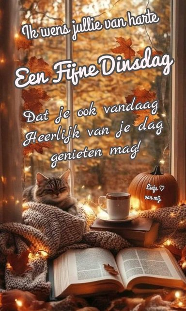 dinsdag