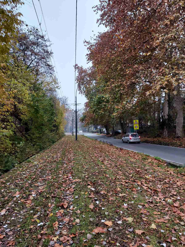 tram05-2020-12-02-23-53-20.jpg