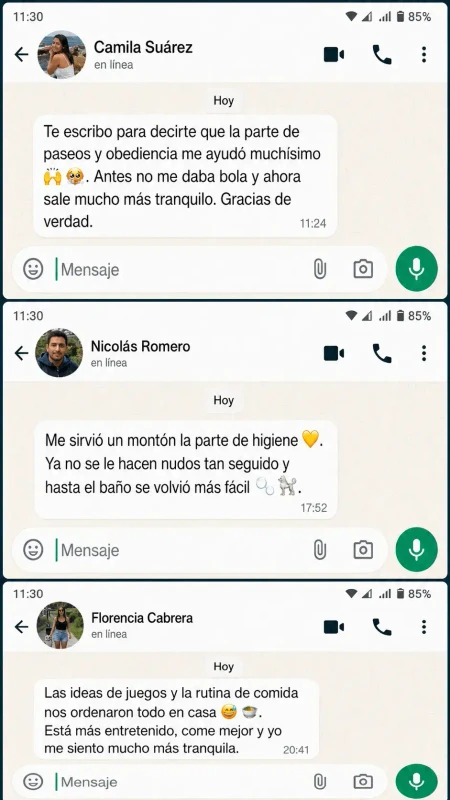 Testimonio 2