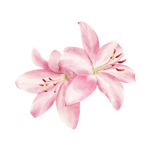 Copia-de-Design-sem-nome-(2).png