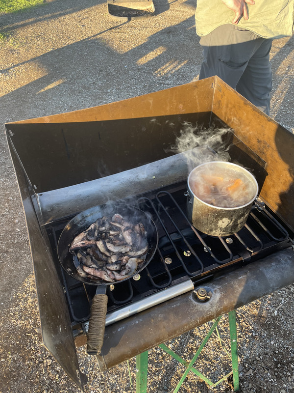 1B464DDE-36BE-4B35-A20F-97FDAE847D5A