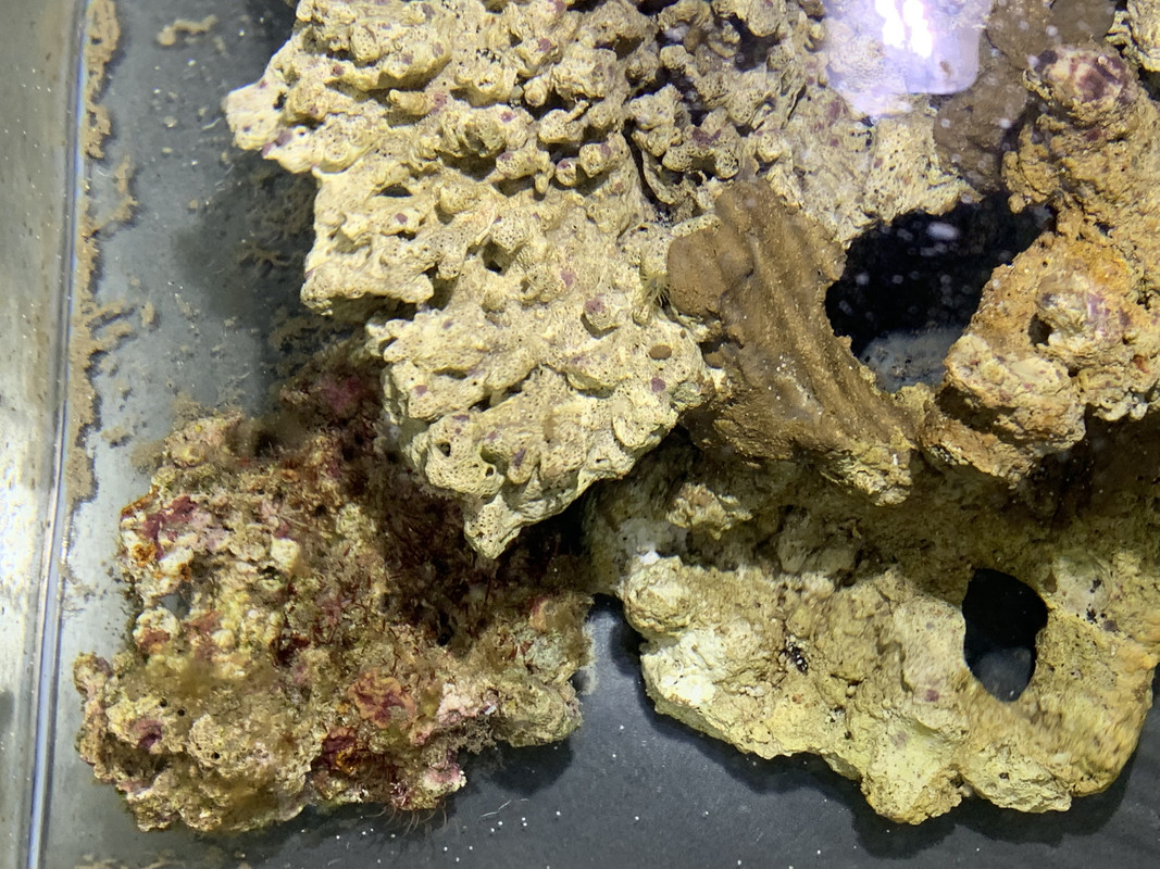 A8617D5B-5D9D-40EF-85CC-0D1A796CD034