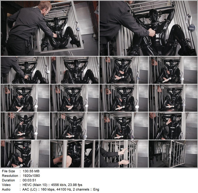 0486 Reflectivedesire - Birdcage.mp4