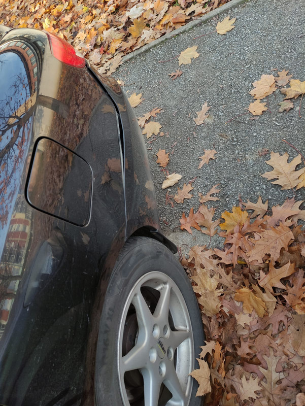 WhatsApp Image 2021-05-08 at 13.07.21 (1)