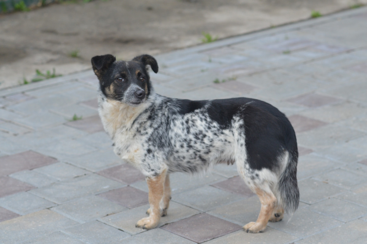 DE313B62-79CA-48BD-9C06-6F5A3244CCDB