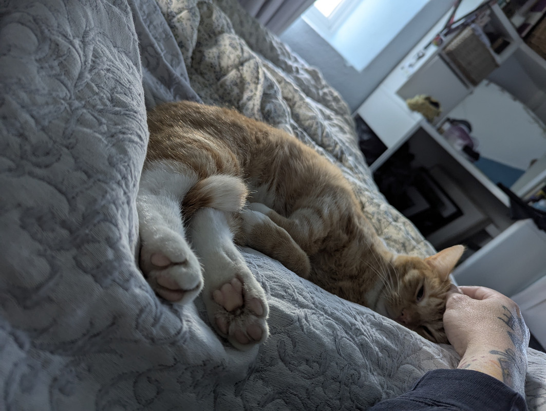 PXL_20250221_154725287