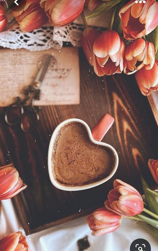 Screenshot_20230731_230639_Pinterest