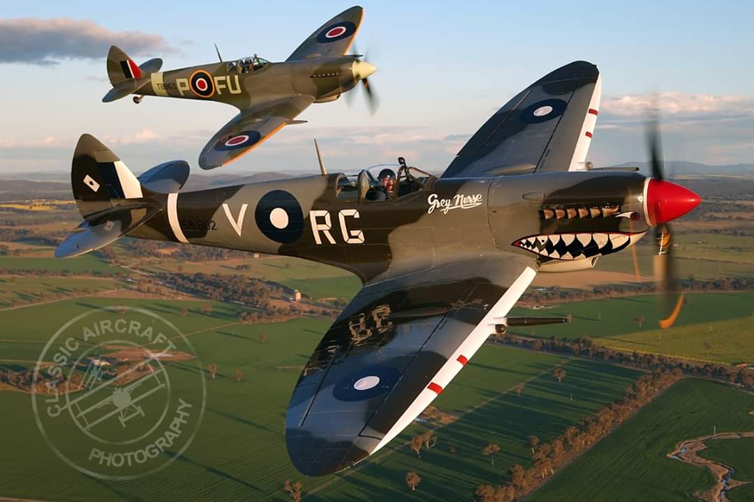 raaf spitfire colours