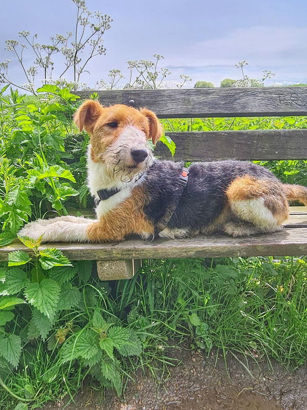 40CC3143-16A4-4DDC-BABC-FEBE9401786B