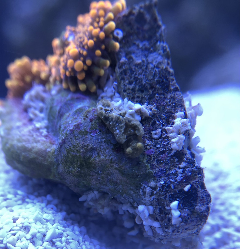 459BEDF5-34D1-49D7-859D-726F5C4942F5