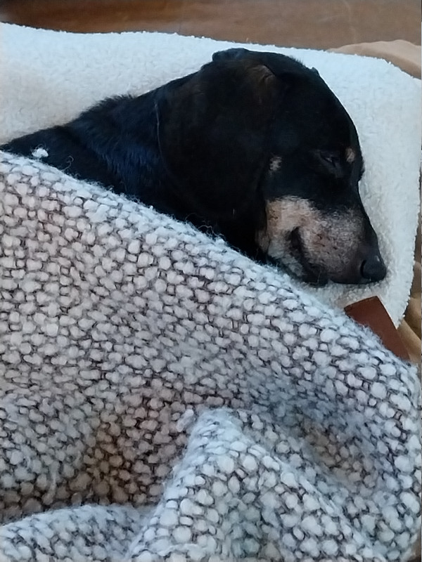 [Image: 20250103-123152.jpg]