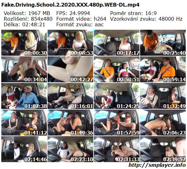 Fake Driving School 2 (2020)