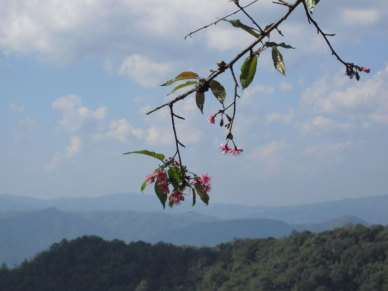 photo 27 2025 12 24 16 04 46