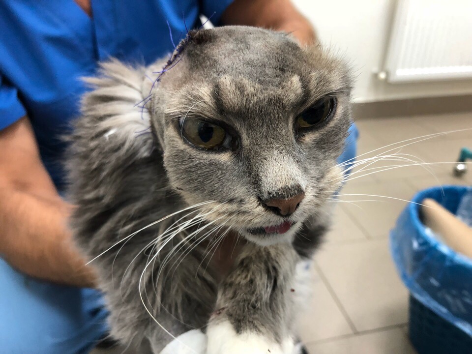 29B63904-9855-461D-B9DD-4B05BBF0F0FA