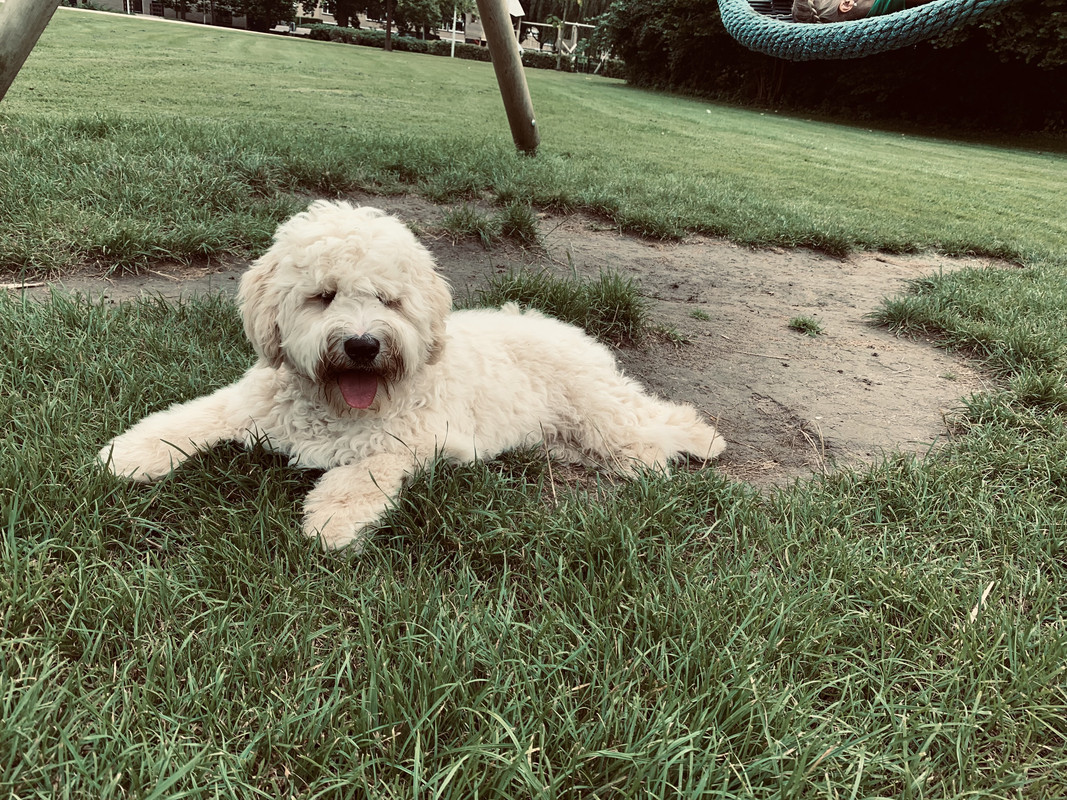 D74EE92F-AF31-425B-BDA7-AB1F26125150