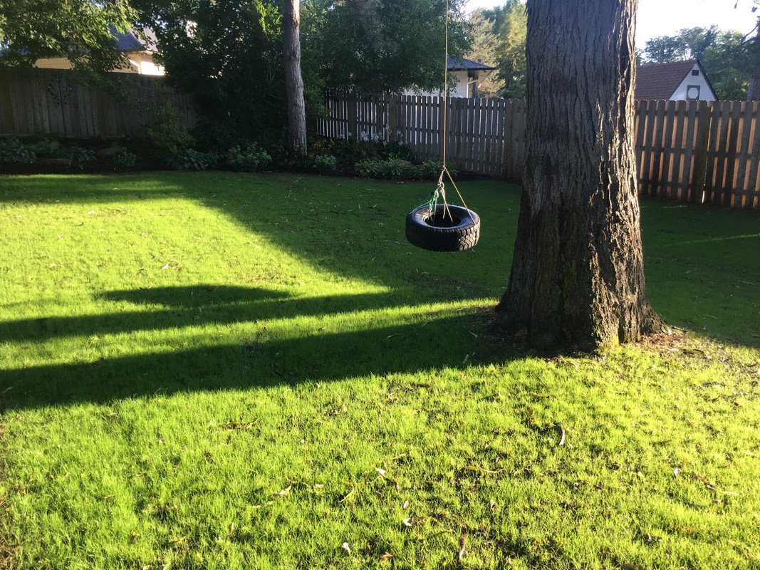 IMG 6637 — Postimages
