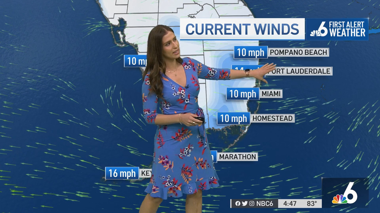 03.29 - 21.00.00 - NBC 6 News at 4 00 p.m..ts_snapshot_00.49.09.034