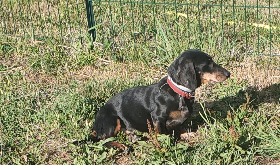 [Image: 20220627-210644.jpg]