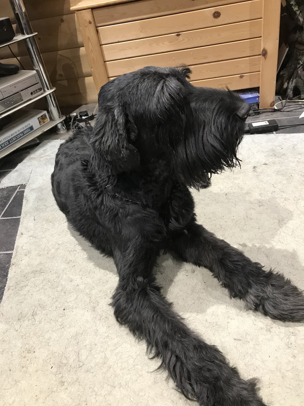 E5E70E3A-641C-4FDB-8652-EE5B22BFB08D