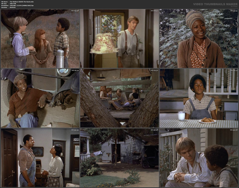 The Waltons S02E05 The Roots.mkv