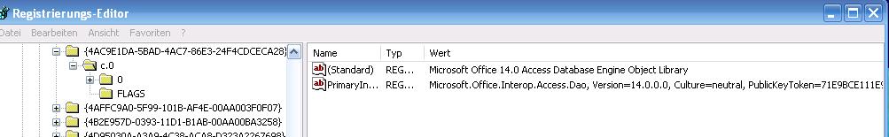 Microsoft Office 14.0 Access Database Engine Object Library