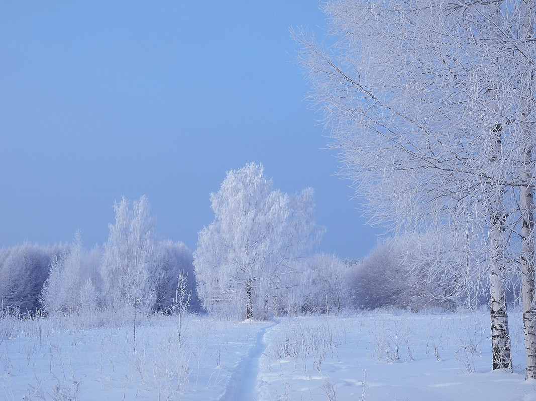 мороз крепчал сгущались краски - фотообои 1280х960