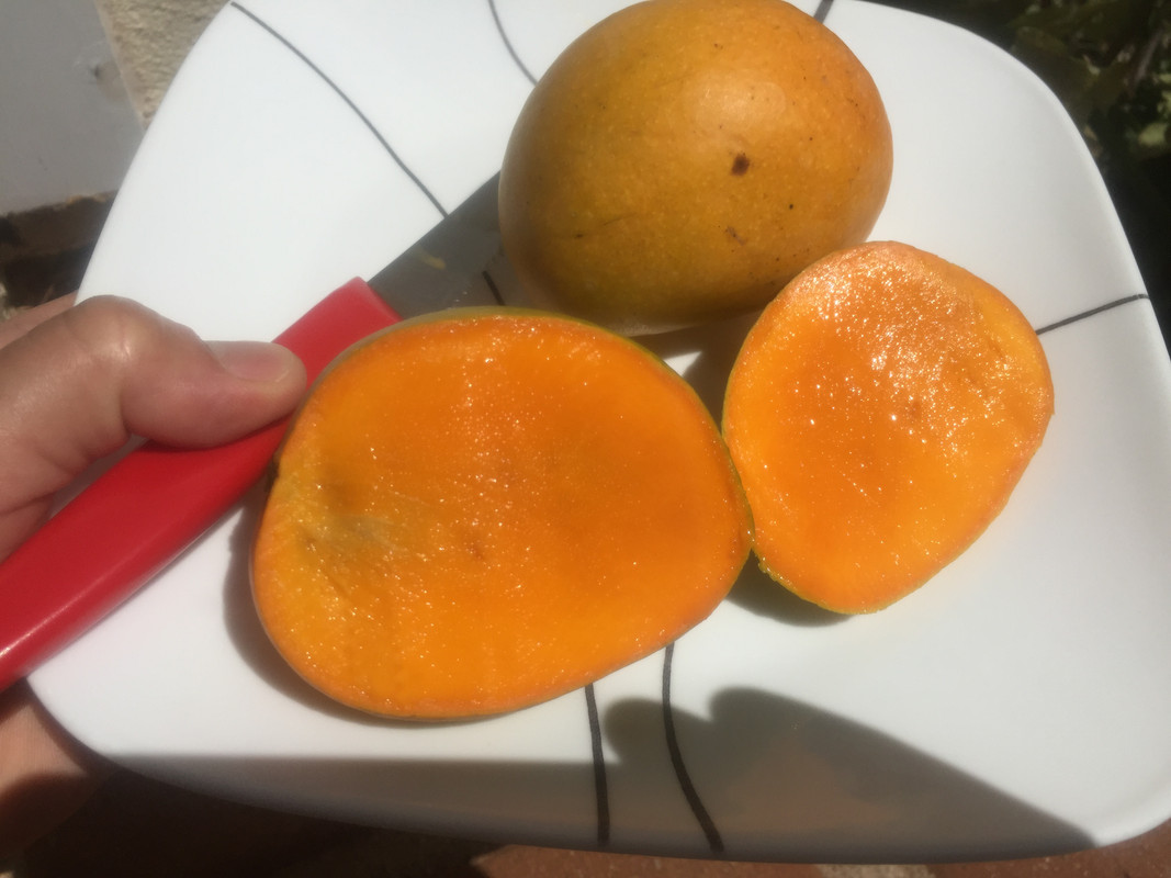 6332FF8D-E6C3-4BF8-9A5E-DA446F0460DF