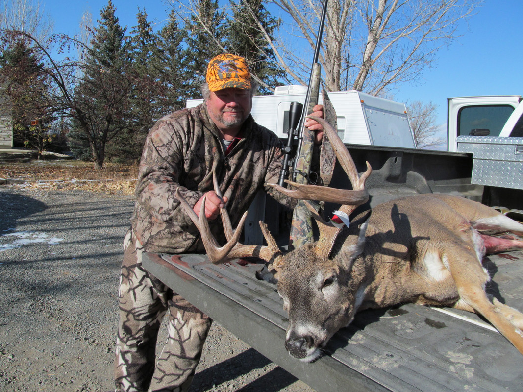 Elk and deer 2012 016