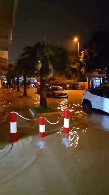 FB-IMG-1766587148279