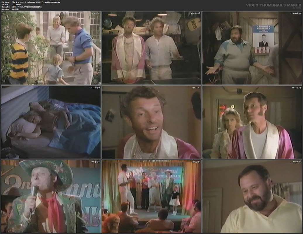 The New Leave It to Beaver S03E05 Perfect Harmony.mkv