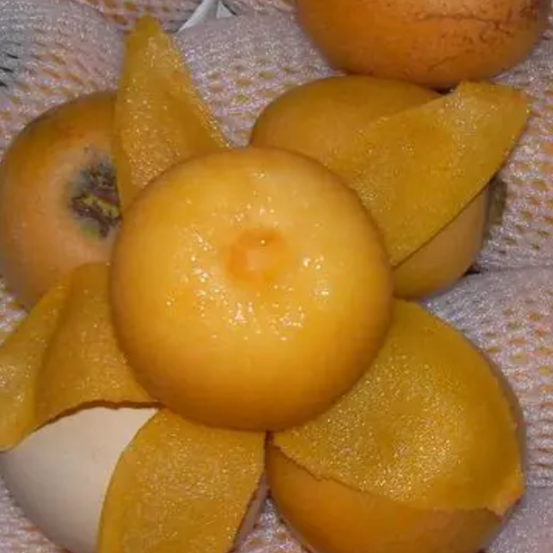 大五星 1