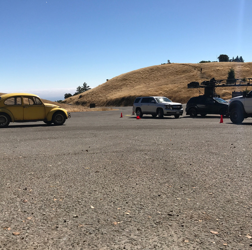 Bumblebee-Mount-Tamalpais-001
