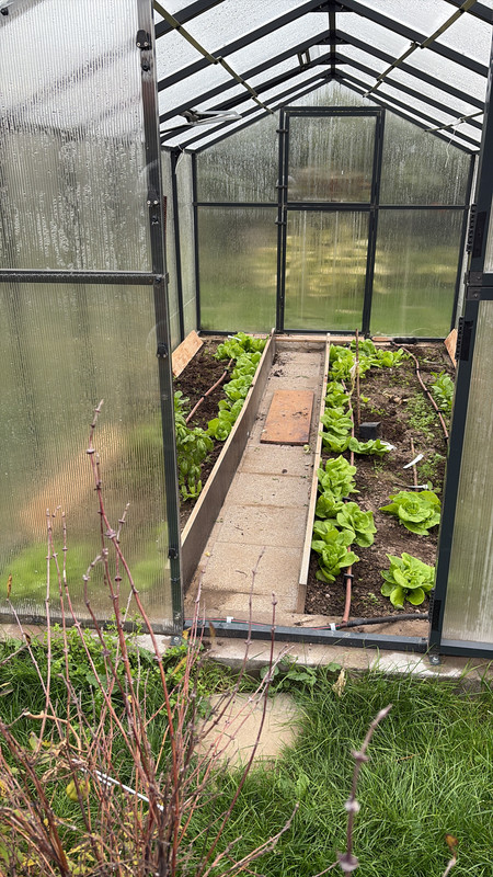 0A8B1202-9181-475A-B17D-44541F873D05