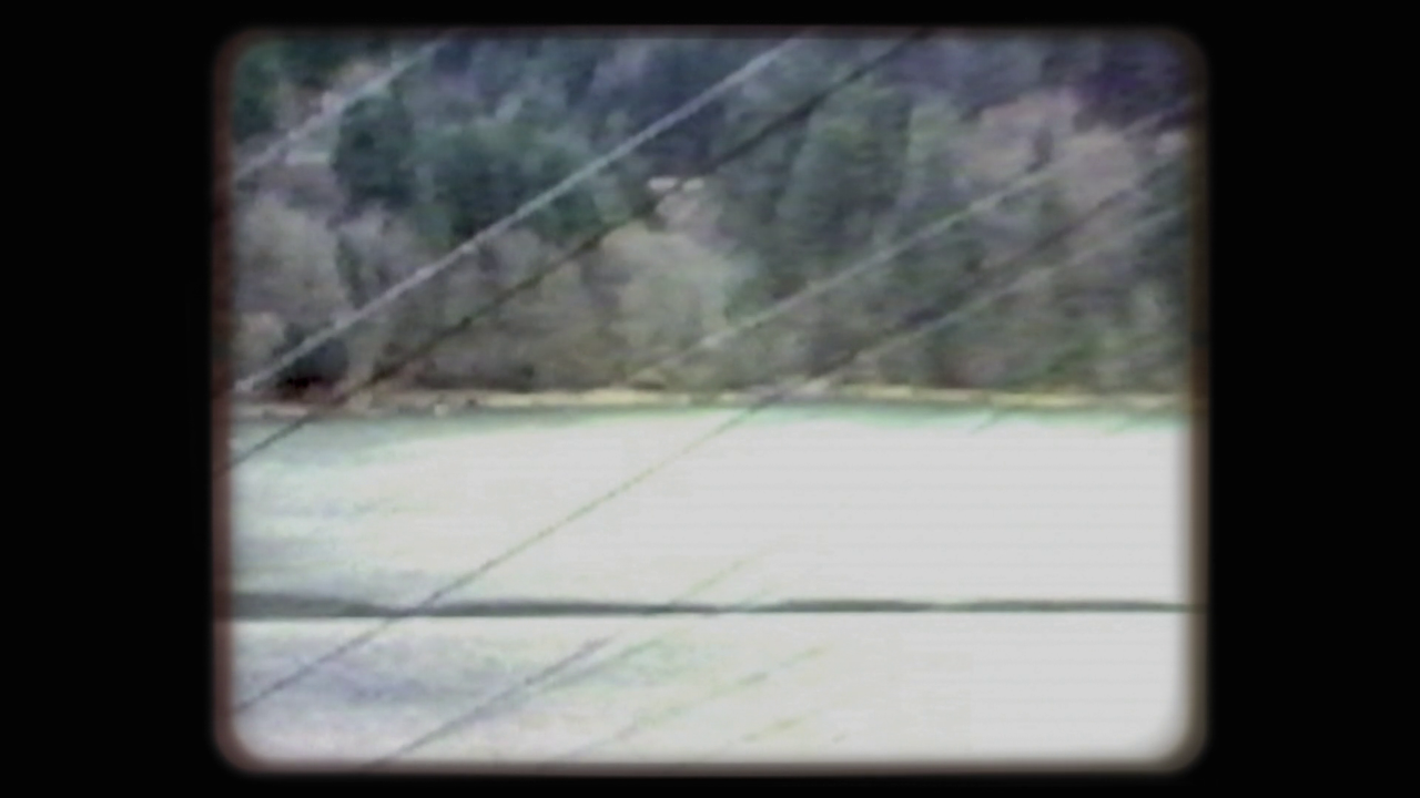 vlcsnap-2022-07-13-10h03m52s480